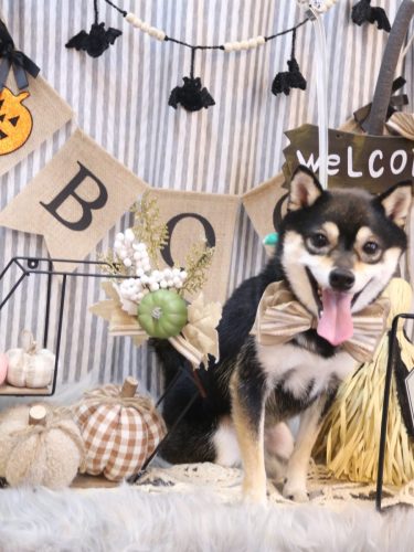 20251014ふうくん