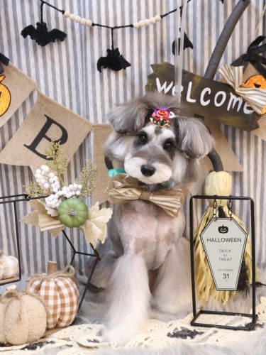 20251014ルナちゃん