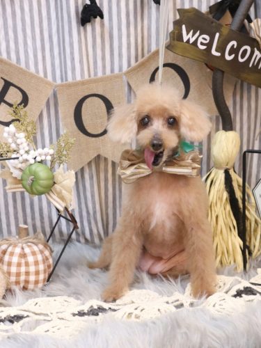 20251014モカちゃん