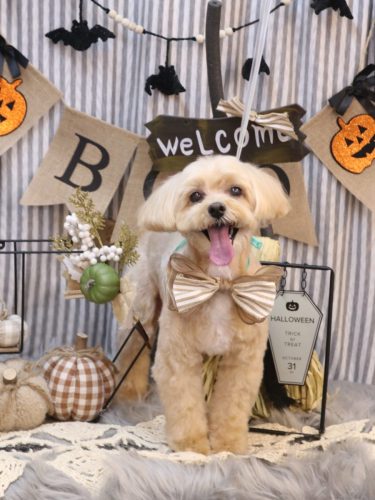 20251014ムックくん