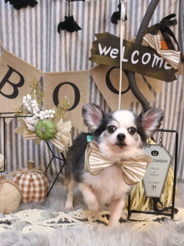 20251014レイくん