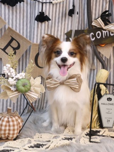 20251014ムーくん