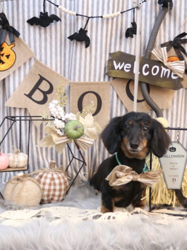 20251015ハルちゃん