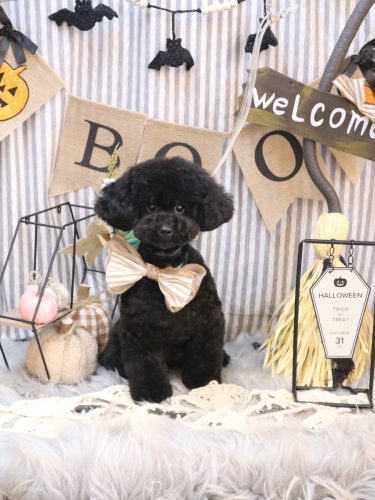 20251016レアちゃん