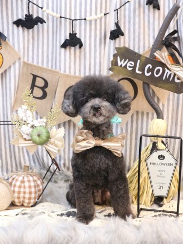 20251016コタロウくん