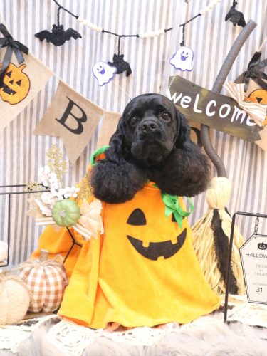 20251016そらくん