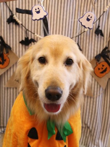 20251017アネラちゃん