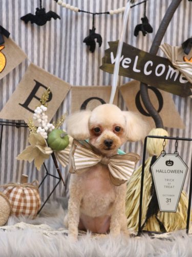 20251018ティアラちゃん