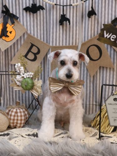 20251018ボルトくん