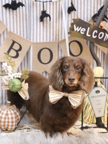 20251018ジョナくん