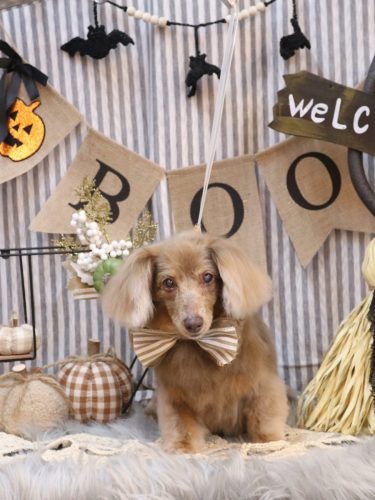 20251018桃ちゃん