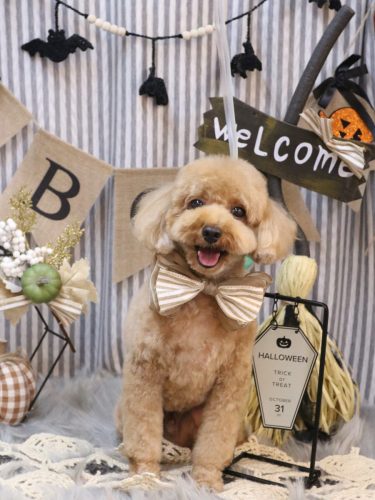 20251018コアくん