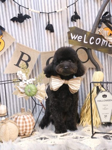 20251018ココちゃん