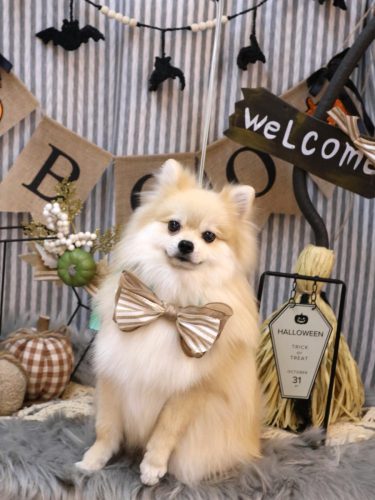 20251018なちゅくん