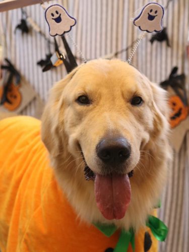 20251019タックくん