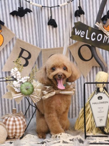 20251019このはちゃん