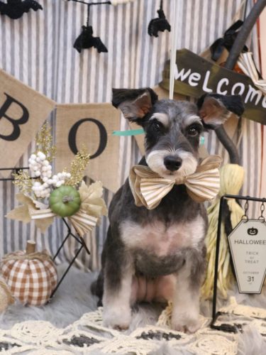 20251019音ちゃん