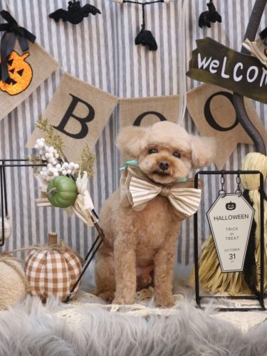 20251019そらくん