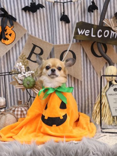 20251019れおくん