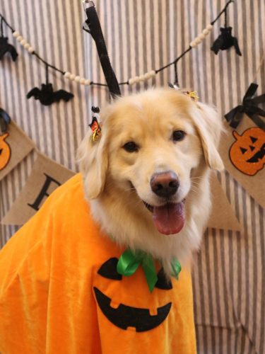 20251021ナナちゃん