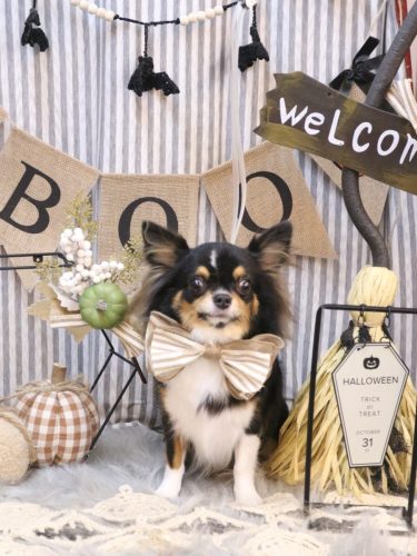 20251021天ちゃん