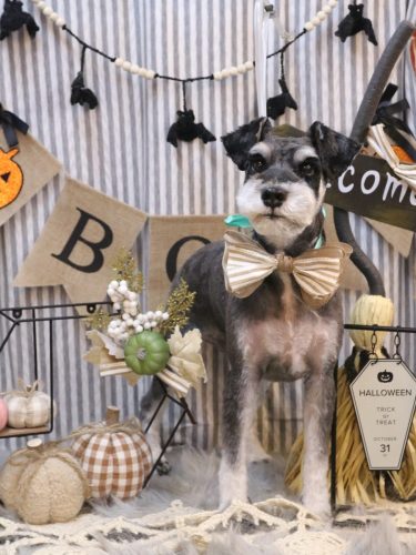 20251021ココくん