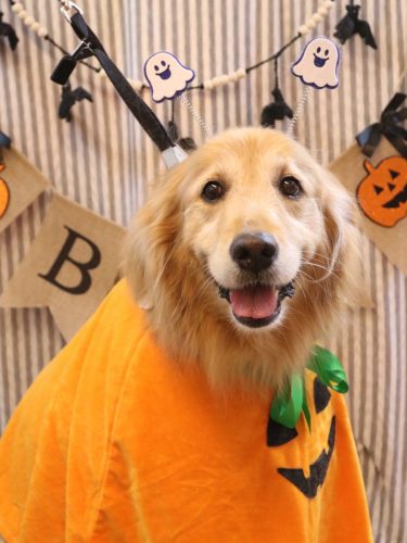 20251021Mickeyちゃん