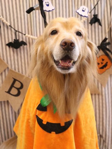 20251021五助くん