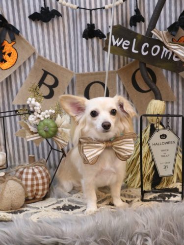 20251022めるちゃん