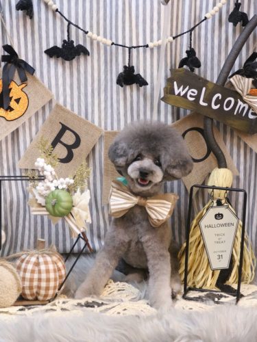 20251022るいくん