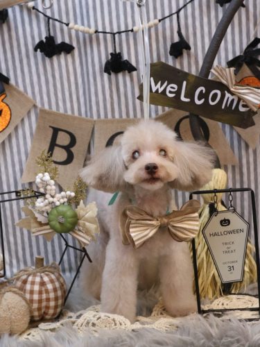 20251022ロンくん