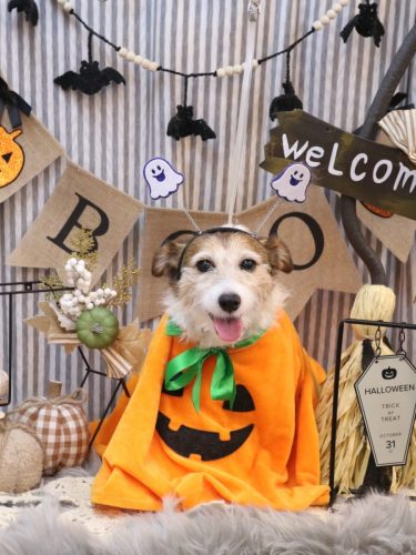 20251022こはるちゃん