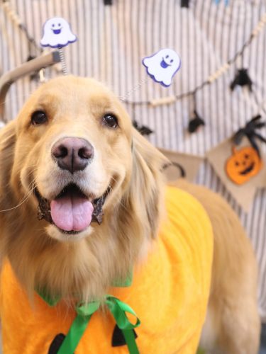 20251023レオくん