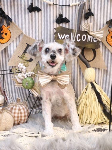 20251023来夢ちゃん