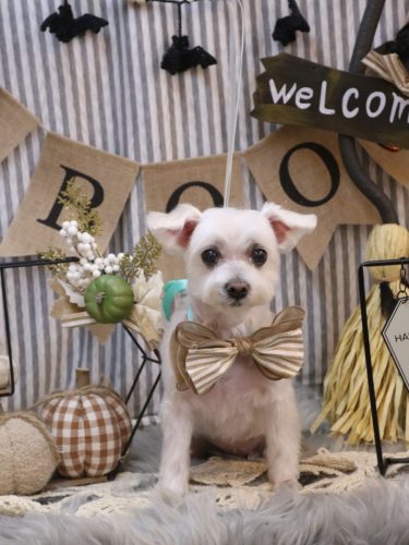 20251023ヒメちゃん