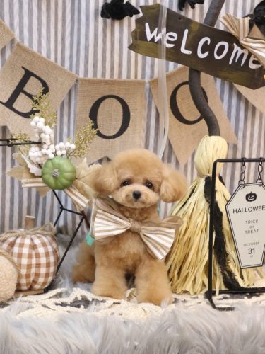 20251024あむちゃん