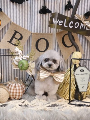 20251024べにちゃん