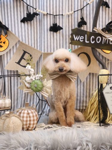 20251024-うたちゃん