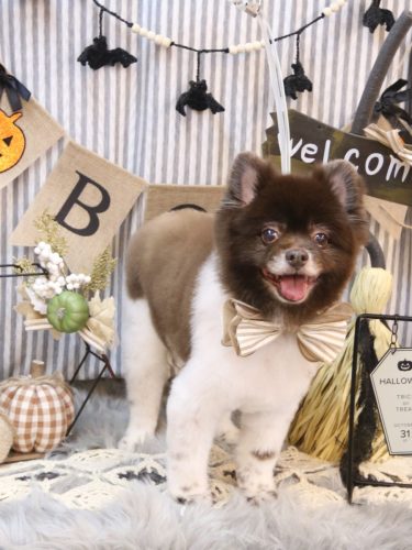 20251024太郎くん