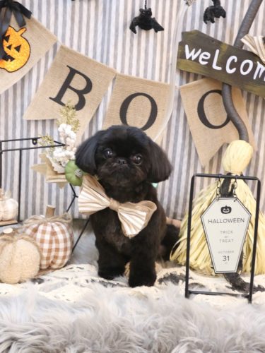 20251024つむぎちゃん