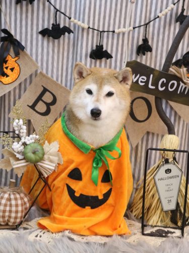 20251024こはるちゃん