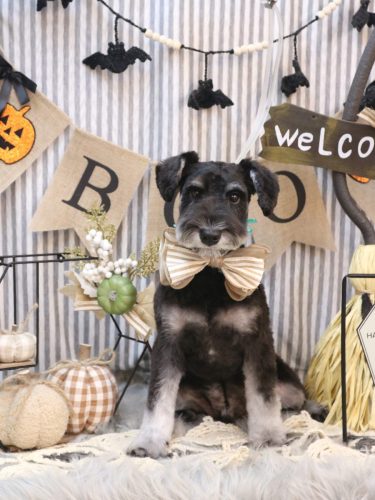 20251025ルカくん