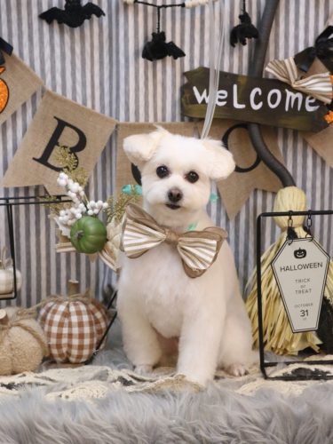 20251025うみちゃん