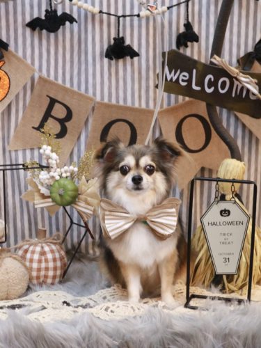 20251025あもちゃん