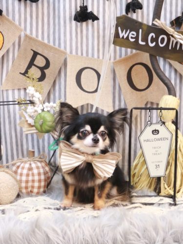 20251025アリューくん