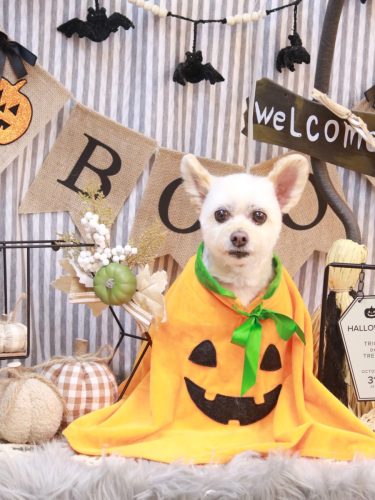 20251025ポンタくん