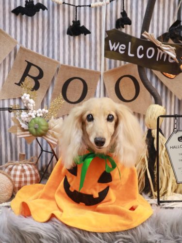 20251025ロイくん