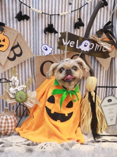 20251026ムーくん