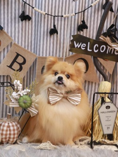 20251026梛都ちゃん