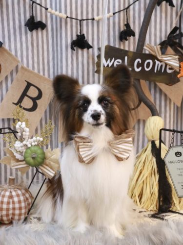 20251026マリーちゃん